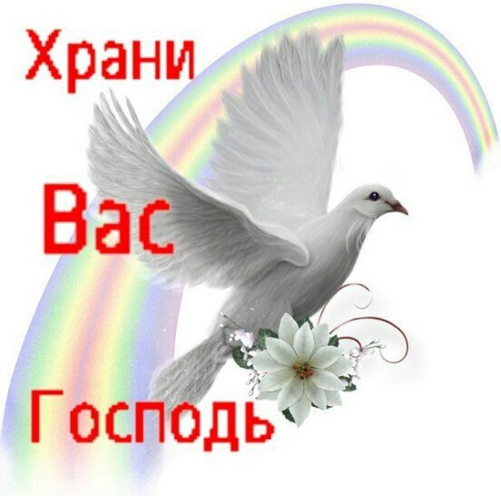Да хранит вас Бог