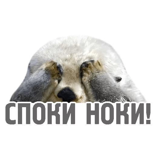 Споки ноки прикольные