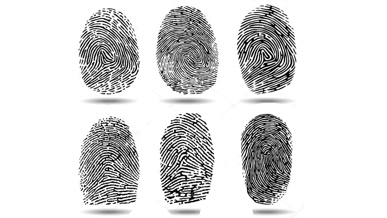 Sectionname ru настройки отпечатков профилей en fingerprints. Отпечатки пальцев. Отпечаток пальца разные. Отпечатки пальцев вектор. Наклейки с отпечатком пальцев.