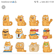 Стикеры ВК кот