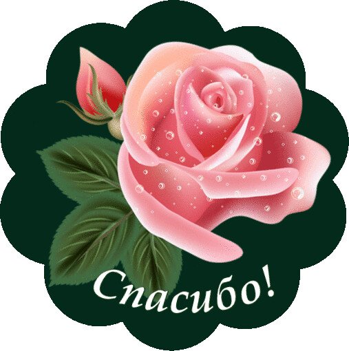 Красивые Стикеры