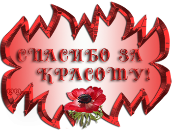 Всегда вам рада