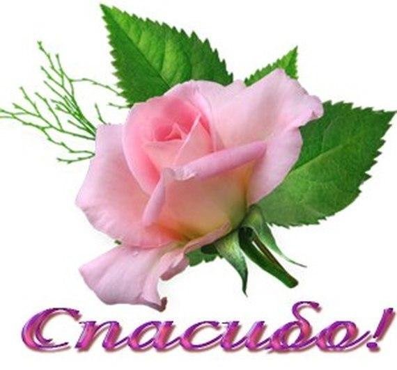 Стикеры благодарю от всей души