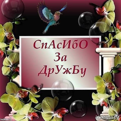За дружбу с днем друзей