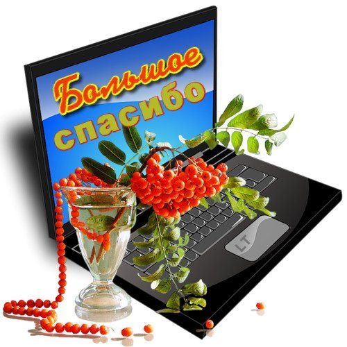 Спасибо за дружбу