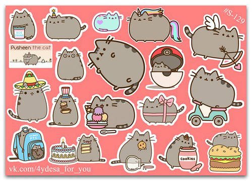 Котик Пушин