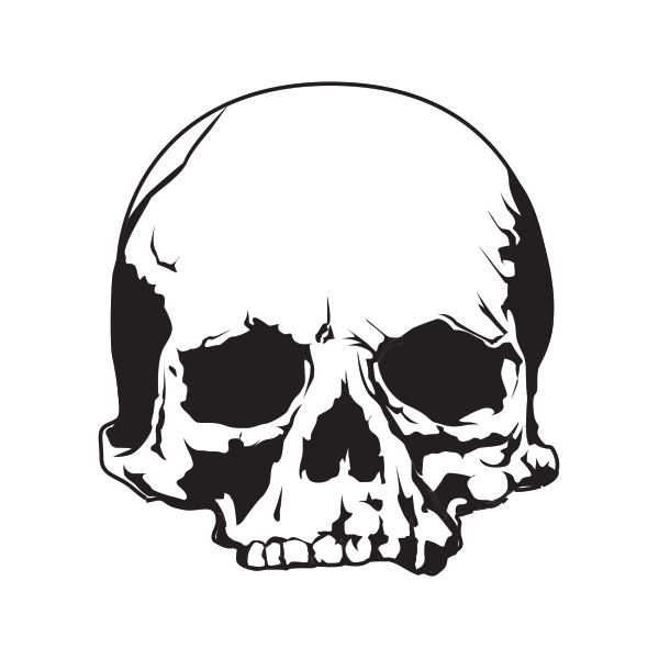 Череп растровый