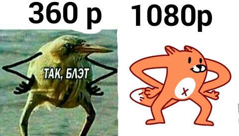 Так блэт птица оригинал