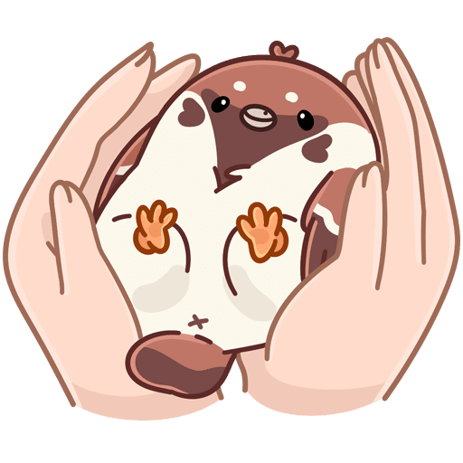 Стикеры Чик