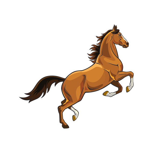 Силуэт всадника на лошади