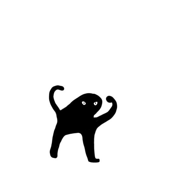 Черный кот Мем