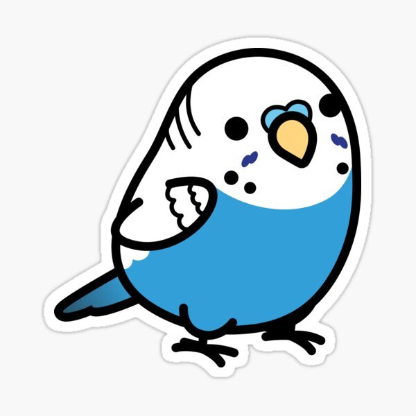 Наоми Лорд попугаи