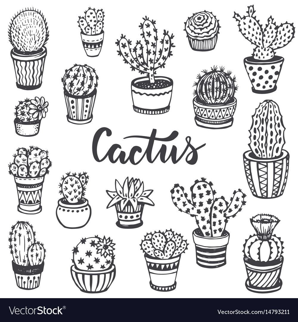 Раскраски для наклеек кактусы
