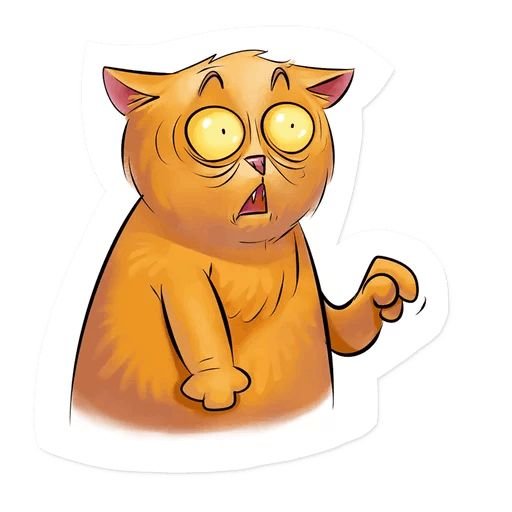 Стикер кот в шоке