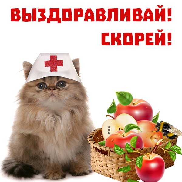 Стикер скорейшего выздоровления