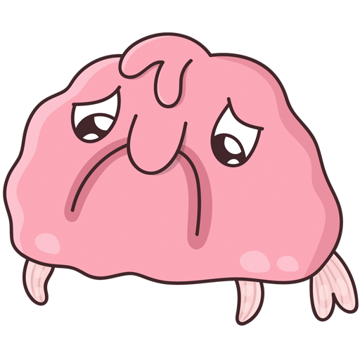 Знакомьтесь Боб гиф с Робертом