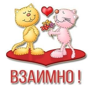 Наклейка новинка на товаре