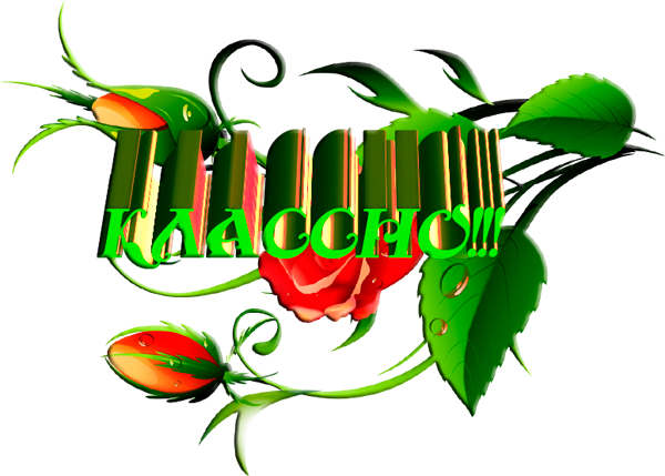 Наклейка новинка на товаре