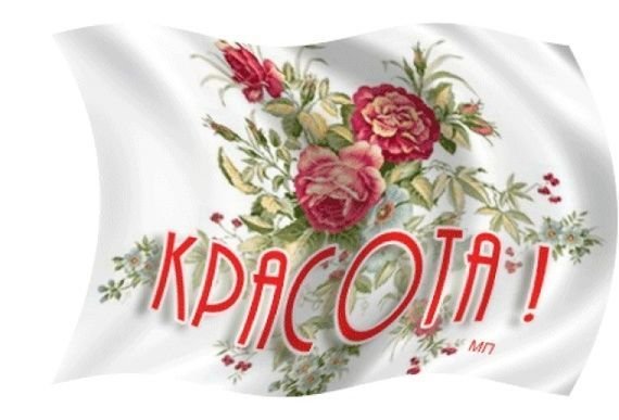 Открытка поздравление с победой в конкурсе