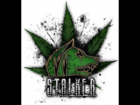 Сталкер Свобода надпись