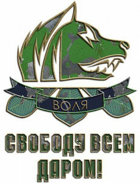 Свобода сталкер значок