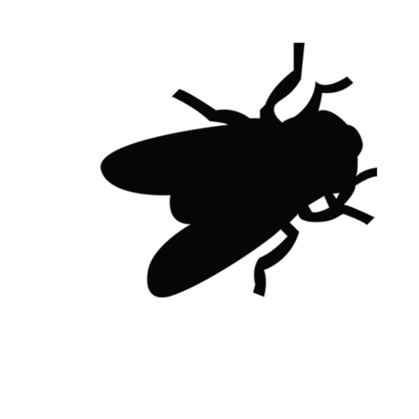 Муха значок