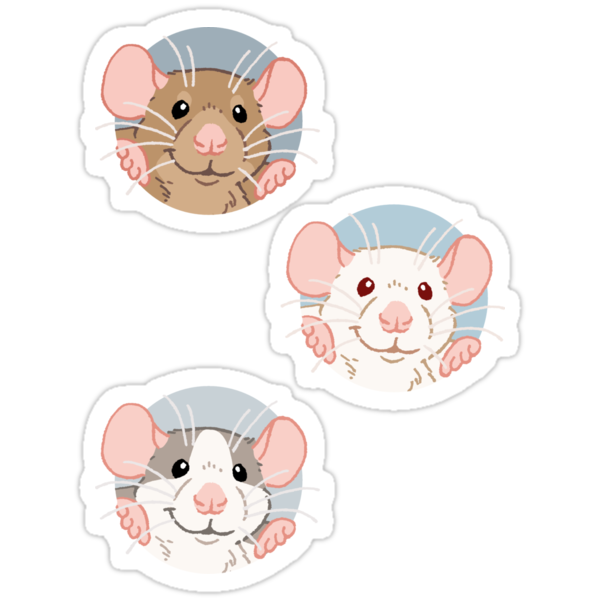 Крыса стикер