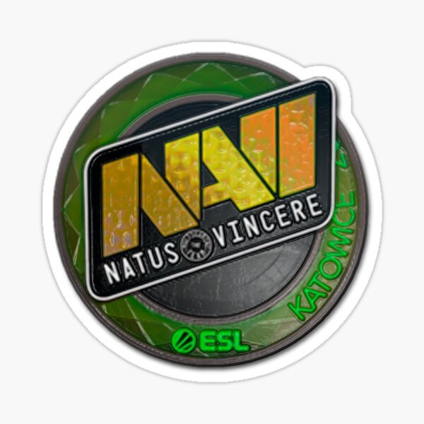 Наклейка Navi DREAMHACK 2014