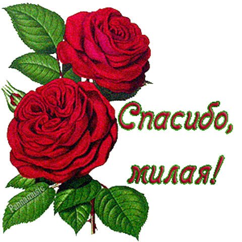 Милые наклейки для ЛП