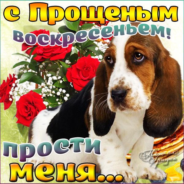 С прощенным воскресеньем с собакой
