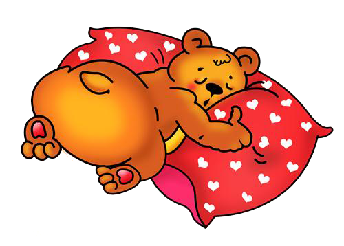 Спящие мишки