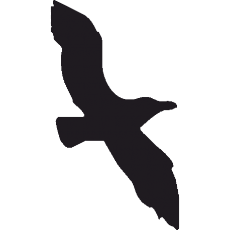 Трафарет Чайки