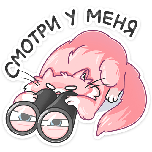 Котик Сахарок стикер