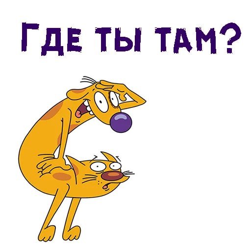 Котопес день рождения