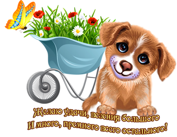 Будьте здоровы анимация