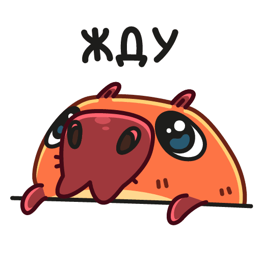Стикер жду