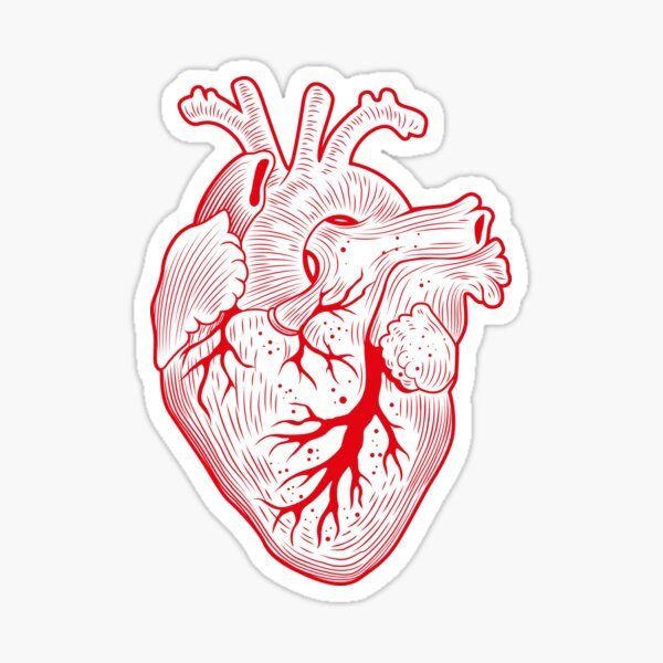 Наклейки человеческого сердца