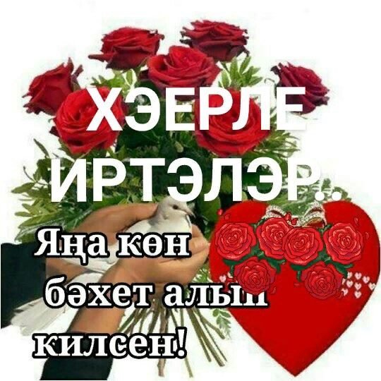 Поздравление с добрым вечером на татарском языке