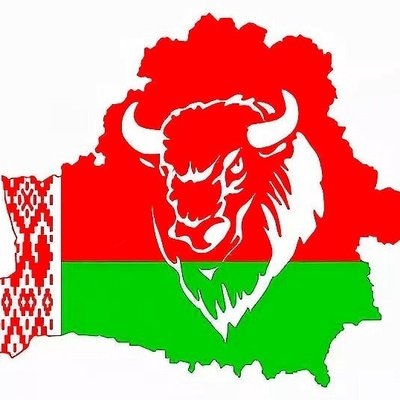 Флаг Белоруссии и ЗУБР