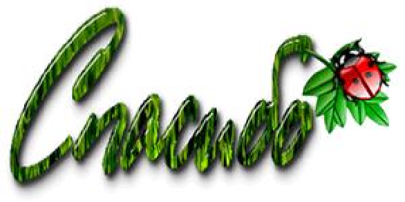 Я тебя люблю на татарском языке