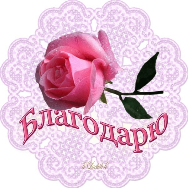 Спасибо на прозрачном фоне