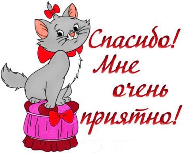 Спасибо очень приятно