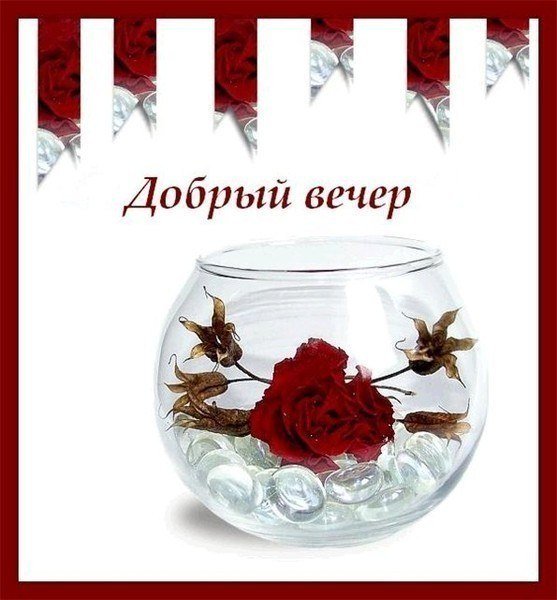 Стикеры приятного вечера