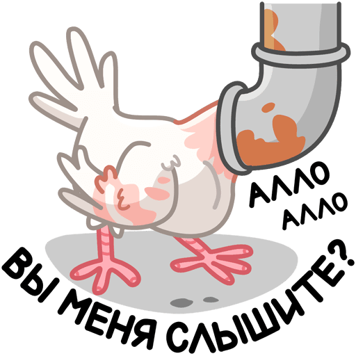 Стикеры ВК голубь