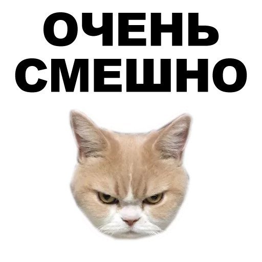 Стикеры приколы