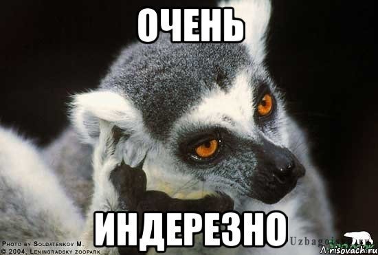 Узбагойся лемур с надписью