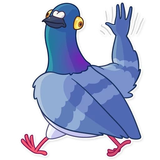 Сумасшедший голубь