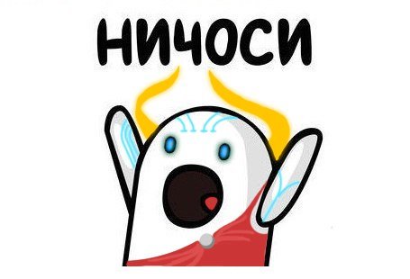 Ничоси хуяси