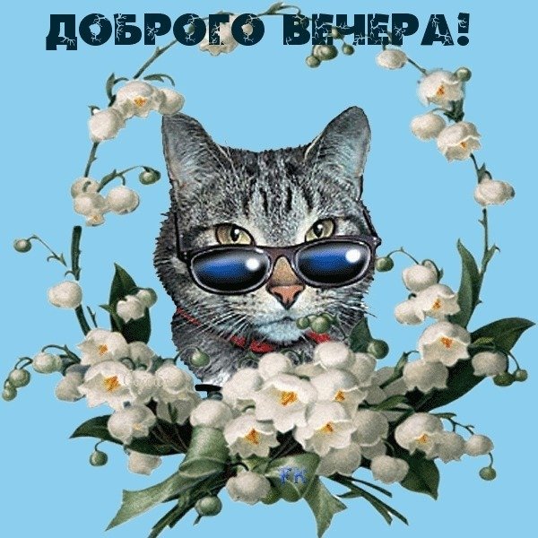 Забавные Стикеры