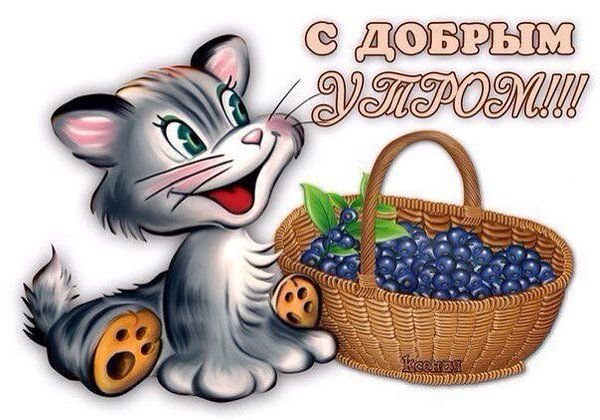 ЛЕГКЭТ из вайбера